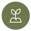 leaf2